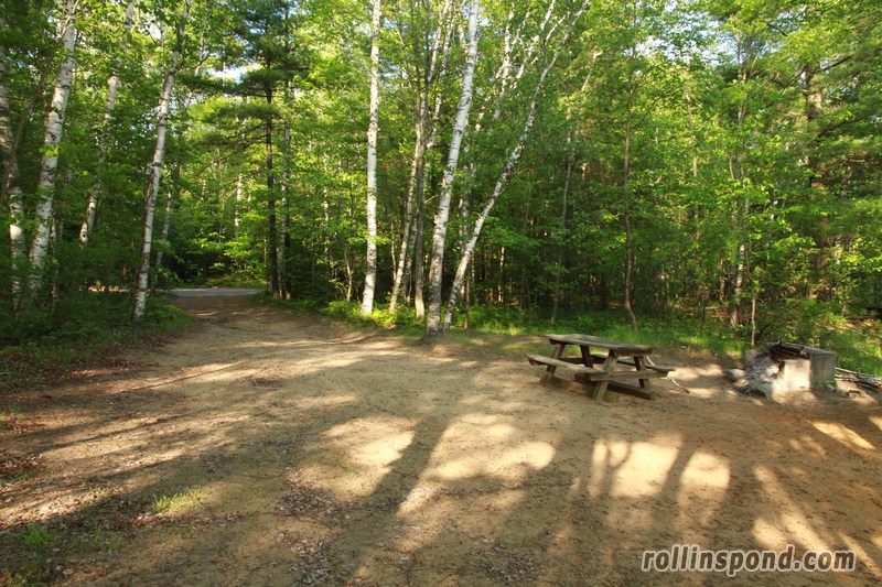 Campsite Photo of Site 3 at Rollins Pond Campground, New York - Looking Back Towards Road