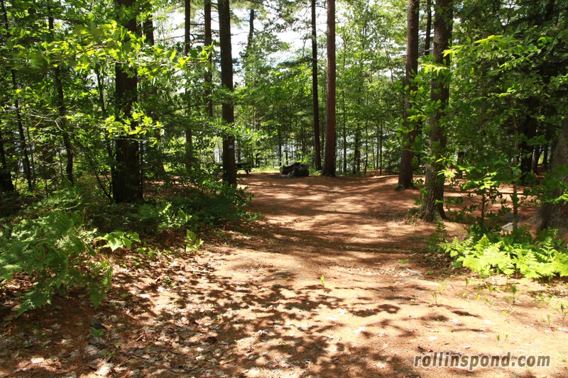 Campsite Photo of Site 222 at Rollins Pond Campground, New York - Looking at Site from Road Sign Visible