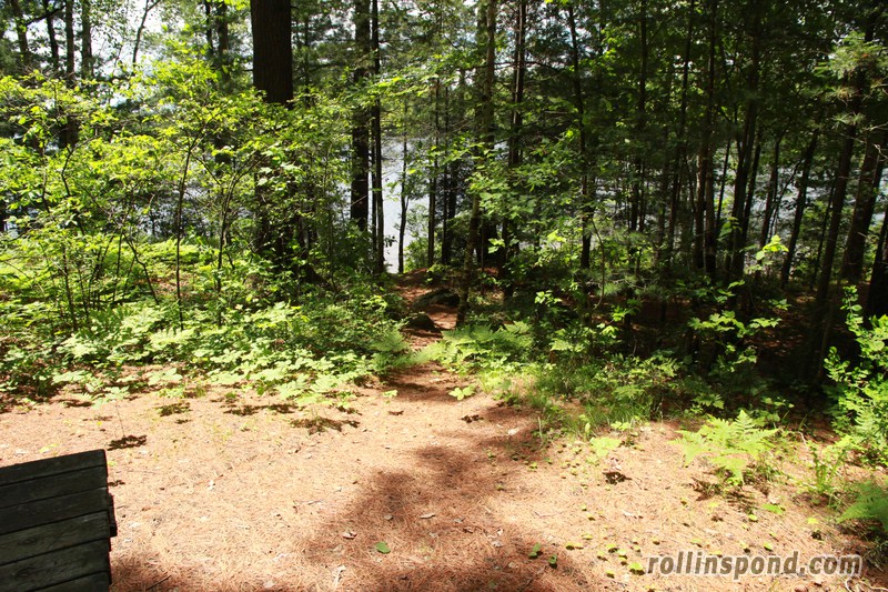 Campsite Photo of Site 222 at Rollins Pond Campground, New York - Pathway Down to Water