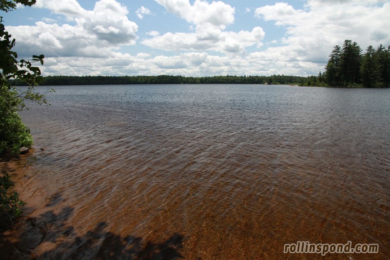 Campsite Photo of Site 222 at Rollins Pond Campground, New York - View from Shoreline