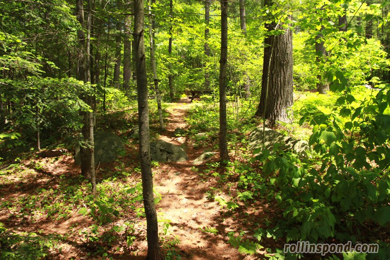 Campsite Photo of Site 222 at Rollins Pond Campground, New York - Returning Along Pathway From Water