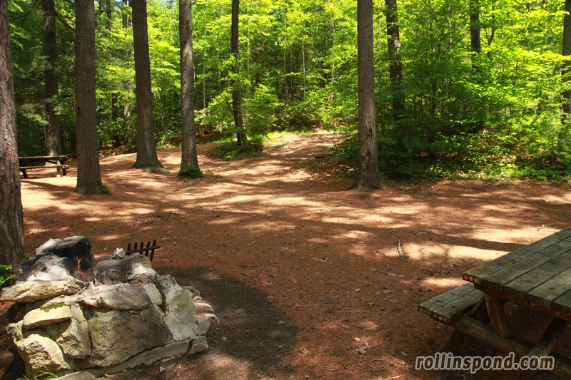 Campsite Photo of Site 222 at Rollins Pond Campground, New York - Looking Back Towards Road