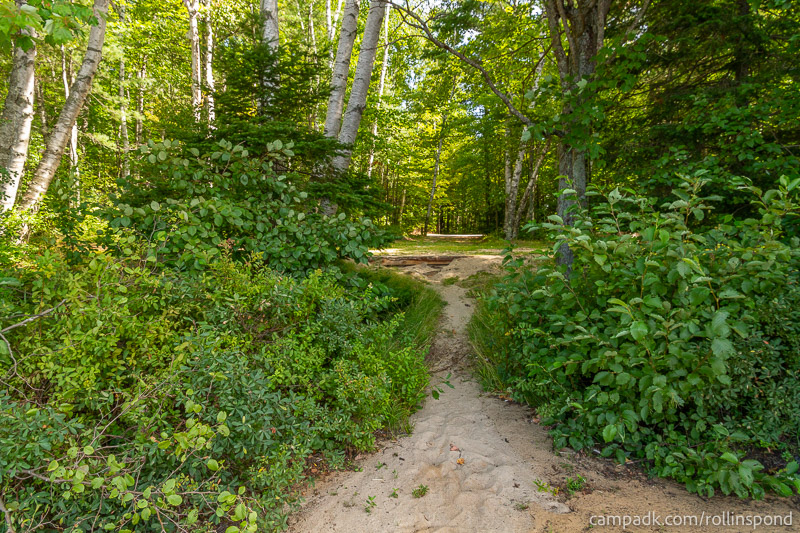 Campsite Photo of Site 3 at Rollins Pond Campground, New York - Returning Along Pathway from Water