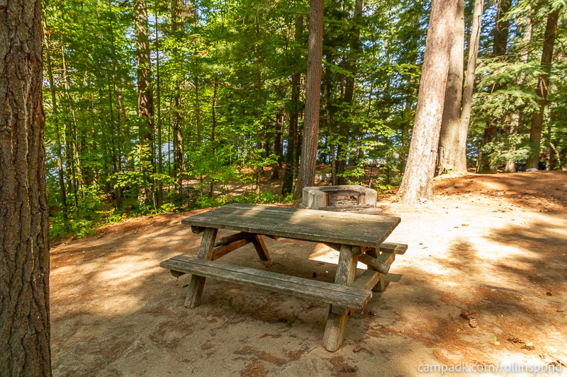 Campsite Photo of Site 222 at Rollins Pond Campground, New York - Cross Site View