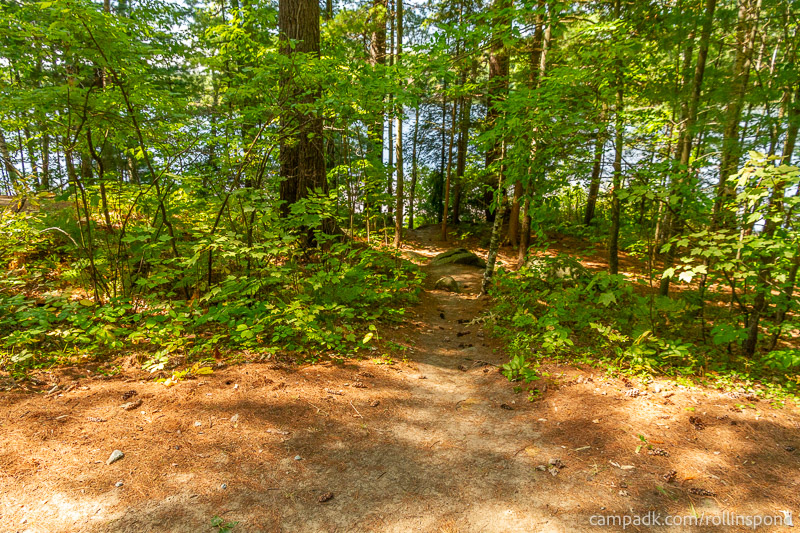 Campsite Photo of Site 222 at Rollins Pond Campground, New York - Pathway Down to Water