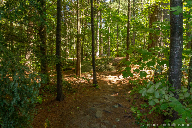 Campsite Photo of Site 222 at Rollins Pond Campground, New York - Returning Along Pathway from Water