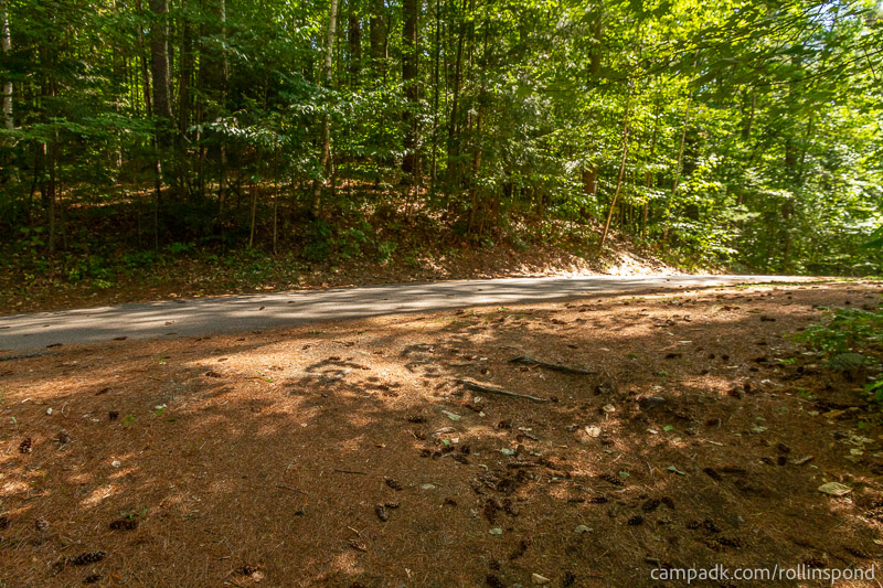Campsite Photo of Site 222 at Rollins Pond Campground, New York - Looking Back Towards Road