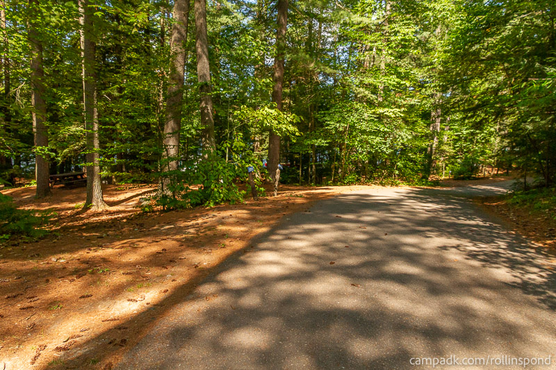 Campsite Photo of Site 222 at Rollins Pond Campground, New York - View Down Road from Campsite
