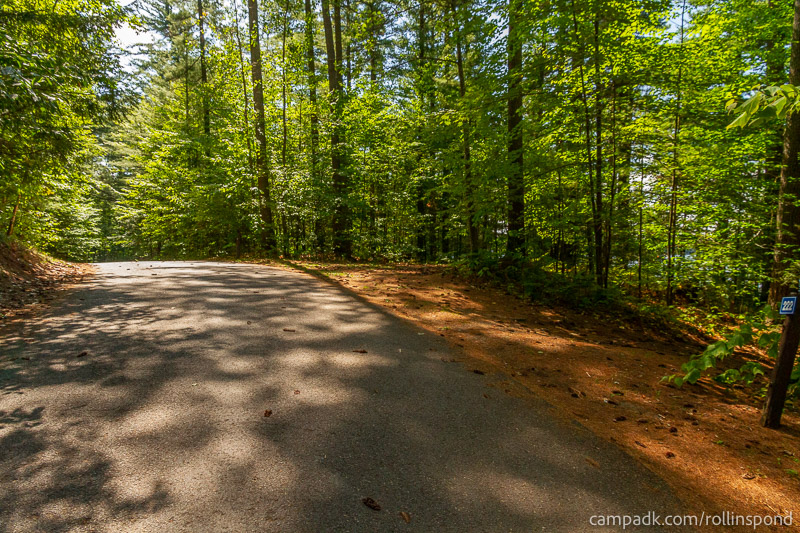 Campsite Photo of Site 222 at Rollins Pond Campground, New York - View Down Road from Campsite
