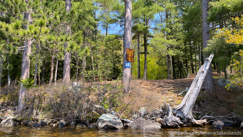 Campsite Photo of Site 65 at Saranac Lake Islands Campground, New York - View From Water of Shoreline