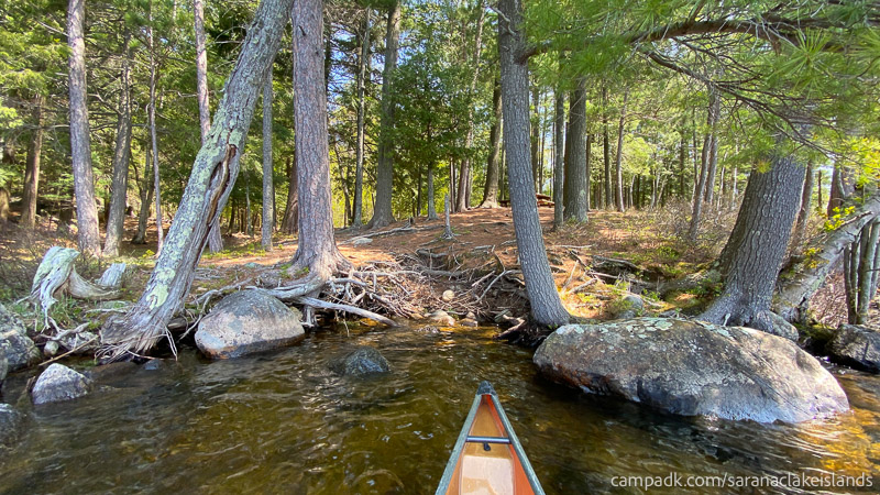 Campsite Photo of Site 65 at Saranac Lake Islands Campground, New York - Looking at Shoreline Bottom