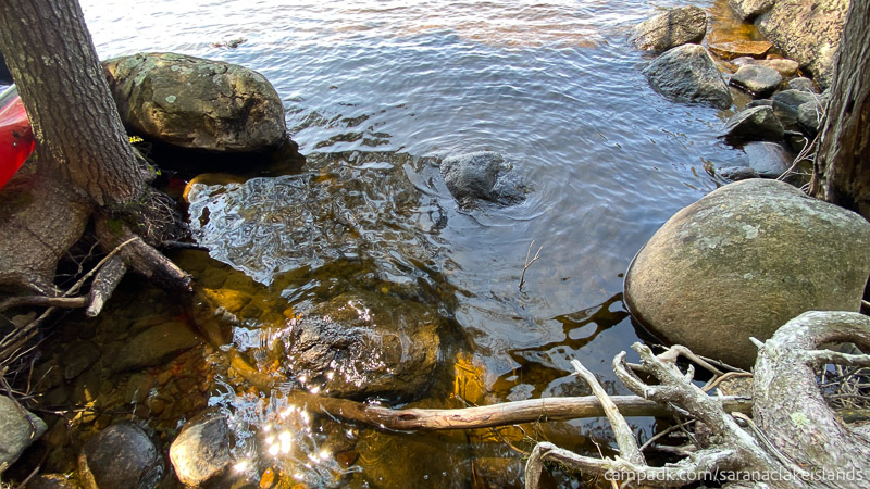 Campsite Photo of Site 65 at Saranac Lake Islands Campground, New York - Looking at Shoreline Bottom