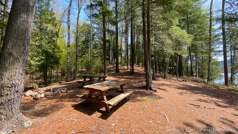 Campsite Photo of Site 65 at Saranac Lake Islands Campground, New York - Main Campsite Area
