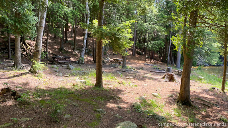 Campsite Photo of Site 5 at Saranac Lake Islands Campground, New York - Returning on Path from Outhouse