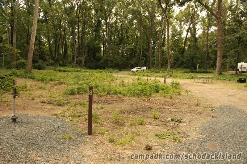 Campsite Photo of Site 8 at Schodack Island State Park, New York - Looking at Site from Road Sign Visible