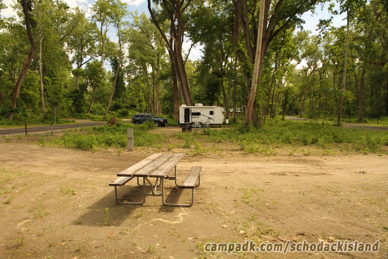 Campsite Photo of Site 8 at Schodack Island State Park, New York - Cross Site View