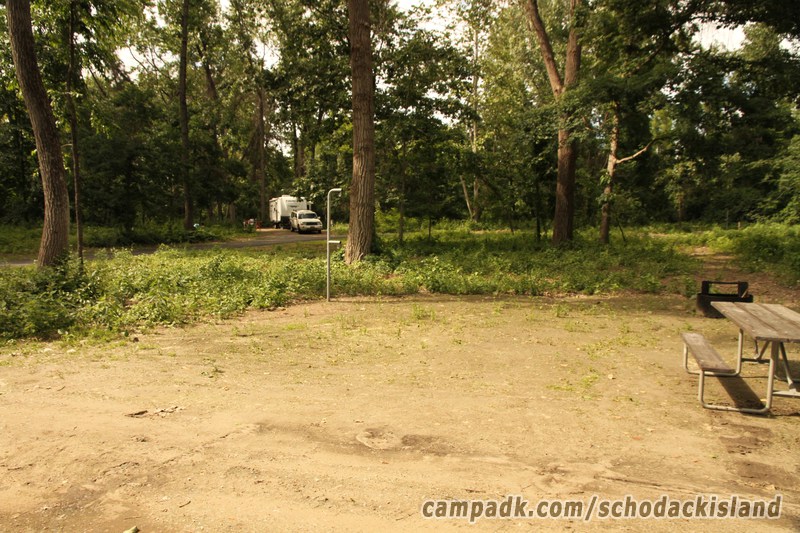 Campsite Photo of Site 8 at Schodack Island State Park, New York - Cross Site View