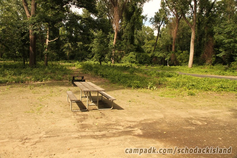 Campsite Photo of Site 8 at Schodack Island State Park, New York - Cross Site View