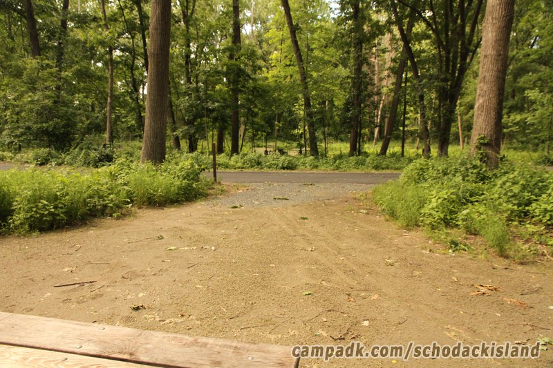 Campsite Photo of Site 51 at Schodack Island State Park, New York - Looking Back Towards Road