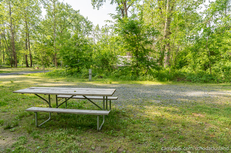 Campsite Photo of Site 8 at Schodack Island State Park, New York - Cross Site View
