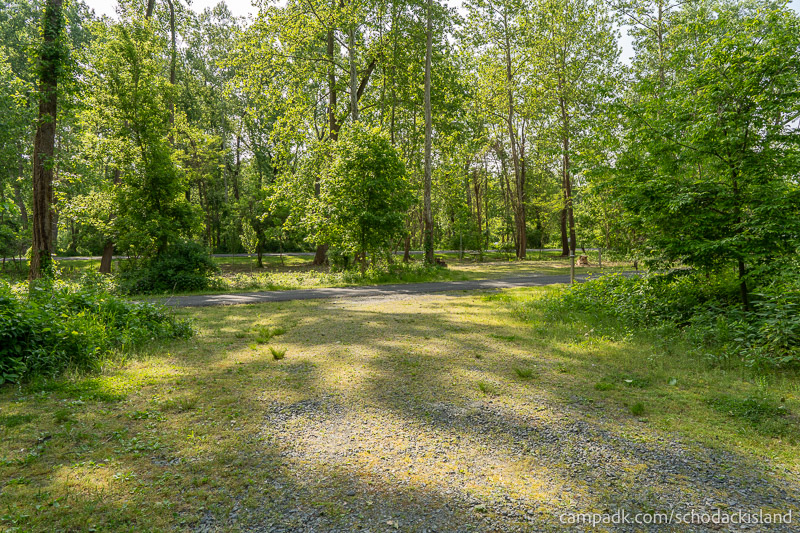 Campsite Photo of Site 8 at Schodack Island State Park, New York - Looking Back Towards Road