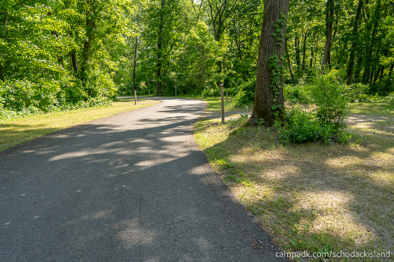Campsite Photo of Site 51 at Schodack Island State Park, New York - View Down Road from Campsite