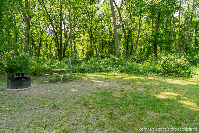 Campsite Photo of Site 51 at Schodack Island State Park, New York - Looking at Site from Part Way In