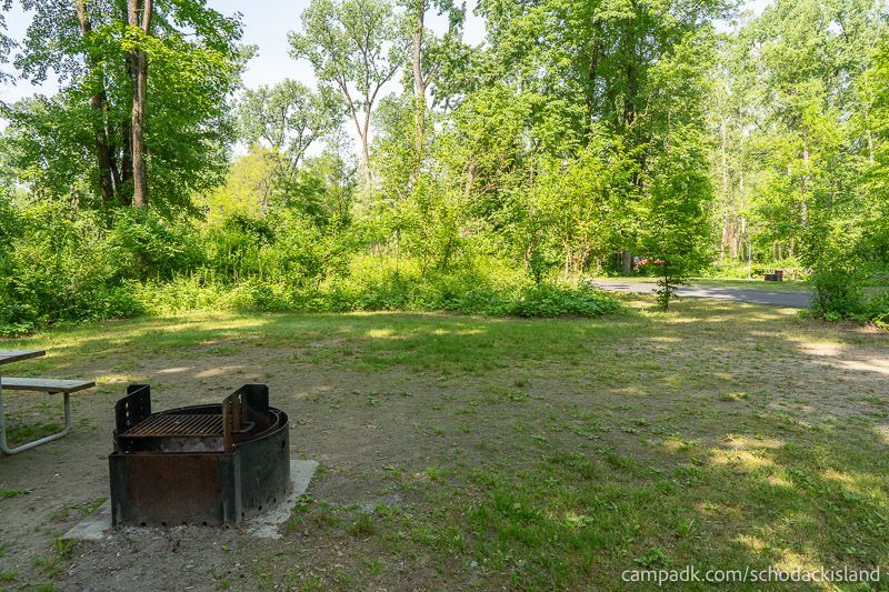 Campsite Photo of Site 51 at Schodack Island State Park, New York - Cross Site View