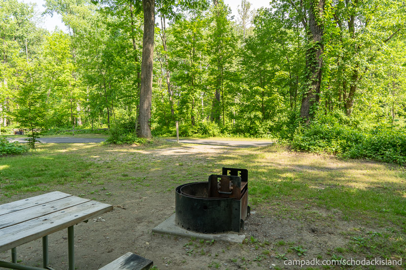 Campsite Photo of Site 51 at Schodack Island State Park, New York - Looking Back Towards Road