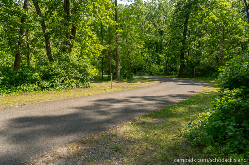 Campsite Photo of Site 51 at Schodack Island State Park, New York - Looking Back Towards Road