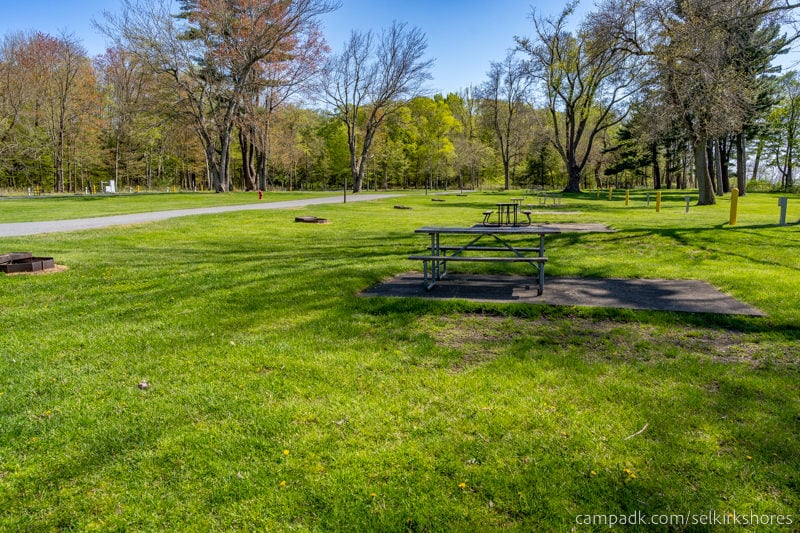 Campsite Photo of Site 83 at Selkirk Shores State Park, New York - Cross Site View