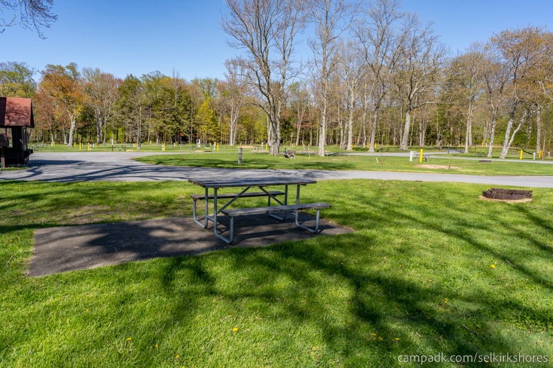 Campsite Photo of Site 83 at Selkirk Shores State Park, New York - Cross Site View