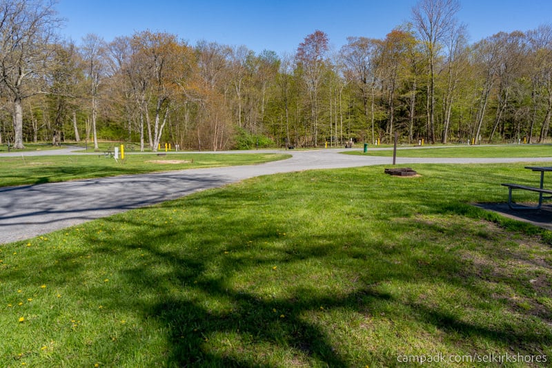 Campsite Photo of Site 83 at Selkirk Shores State Park, New York - Looking Back Towards Road