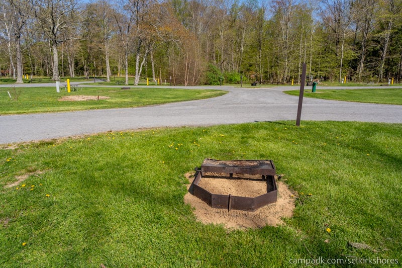 Campsite Photo of Site 83 at Selkirk Shores State Park, New York - Fireplace View