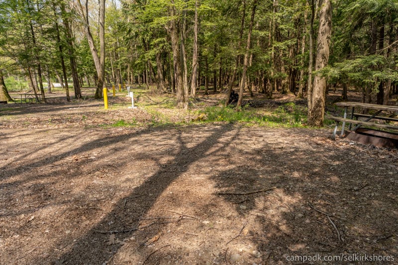 Campsite Photo of Site 25 at Selkirk Shores State Park, New York - Cross Site View