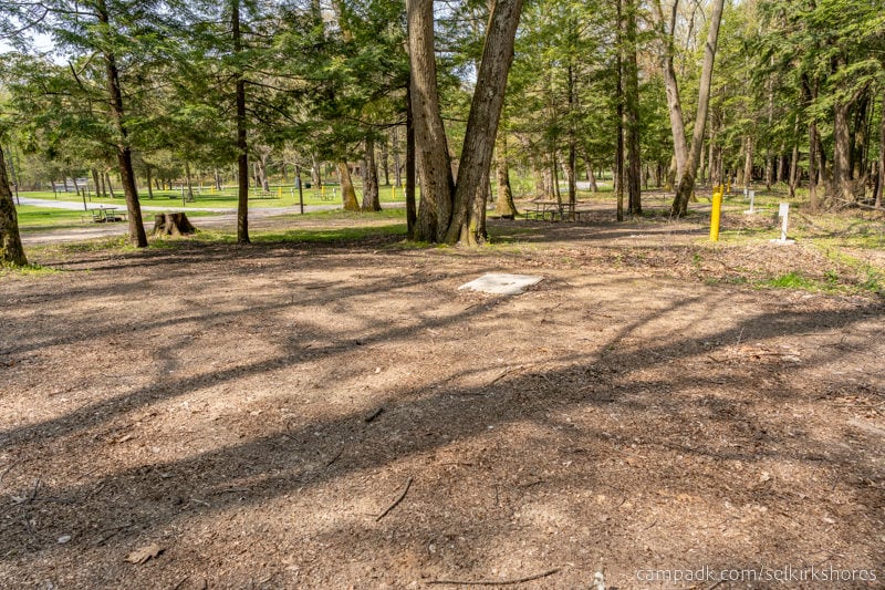 Campsite Photo of Site 25 at Selkirk Shores State Park, New York - Cross Site View