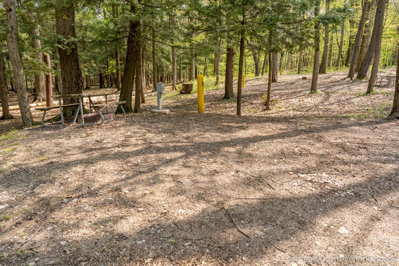 Campsite Photo of Site 25 at Selkirk Shores State Park, New York - Cross Site View