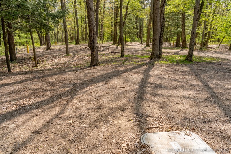 Campsite Photo of Site 25 at Selkirk Shores State Park, New York - Cross Site View