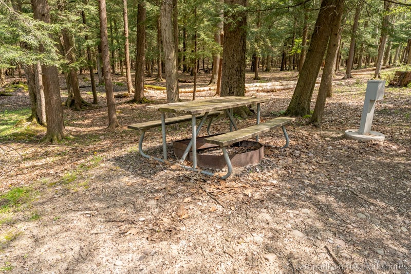 Campsite Photo of Site 25 at Selkirk Shores State Park, New York - Fireplace View