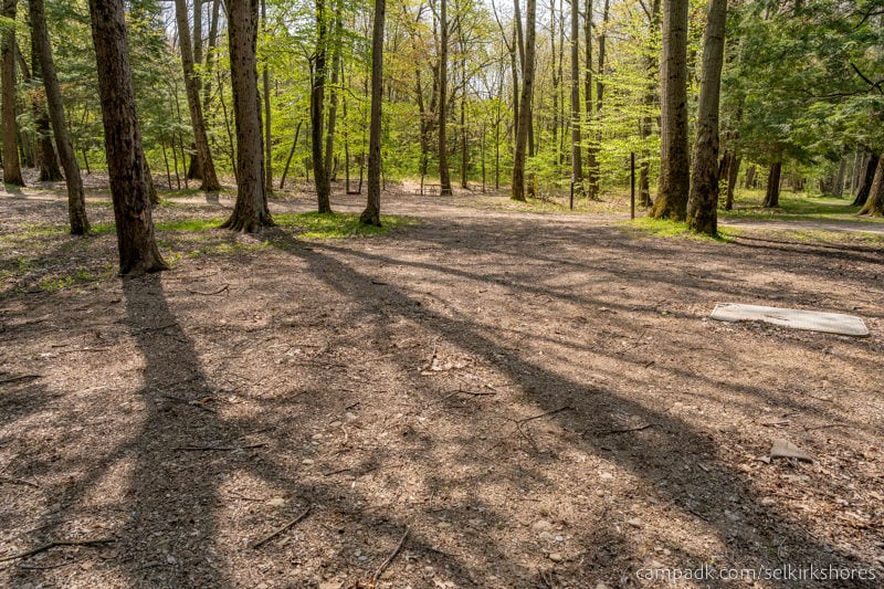 Campsite Photo of Site 25 at Selkirk Shores State Park, New York - Looking Back Towards Road