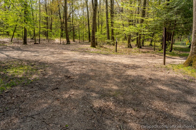 Campsite Photo of Site 25 at Selkirk Shores State Park, New York - Looking Back Towards Road