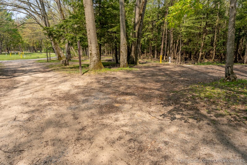Campsite Photo of Site 25 at Selkirk Shores State Park, New York - View Down Road from Campsite