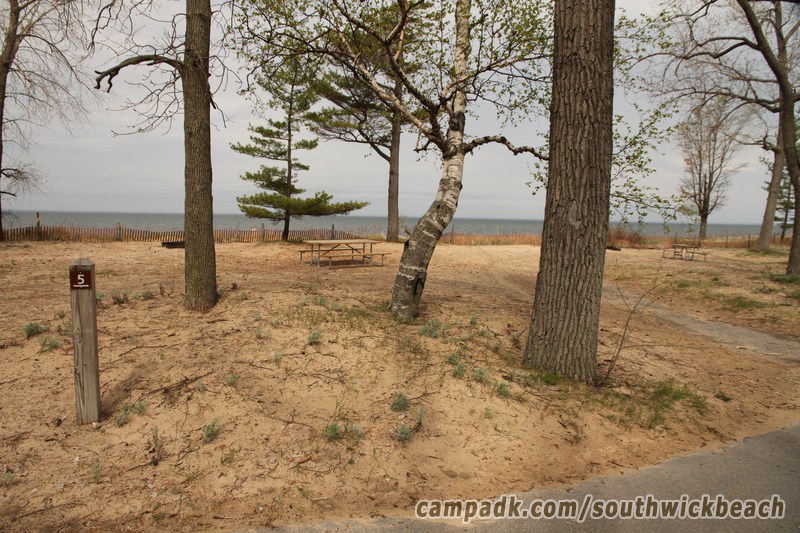 Campsite Photo of Site 5 at Southwick Beach State Park, New York - Looking at Site from Road Sign Visible
