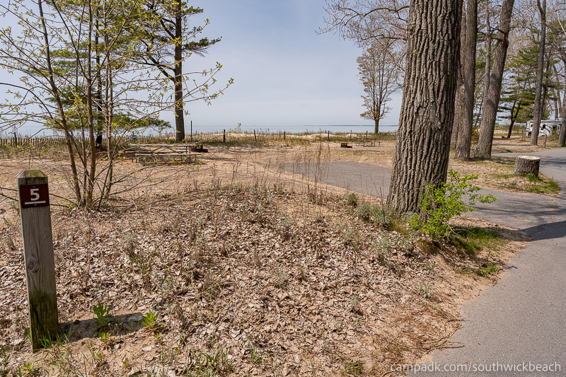 Campsite Photo of Site 5 at Southwick Beach State Park, New York - Looking at Site from Road Sign Visible