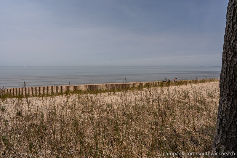 Campsite Photo of Site 5 at Southwick Beach State Park, New York - View from Shoreline