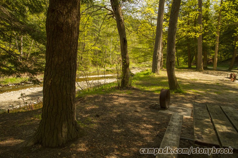 Campsite Photo of Site 417 at Stony Brook State Park, New York - Cross Site View