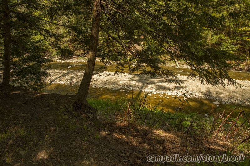 Campsite Photo of Site 417 at Stony Brook State Park, New York - View from Shoreline