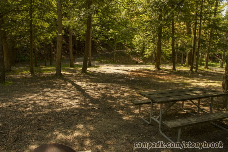 Campsite Photo of Site 417 at Stony Brook State Park, New York - Looking Back Towards Road