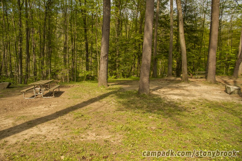 Campsite Photo of Site 309 at Stony Brook State Park, New York - Looking at Site from Road