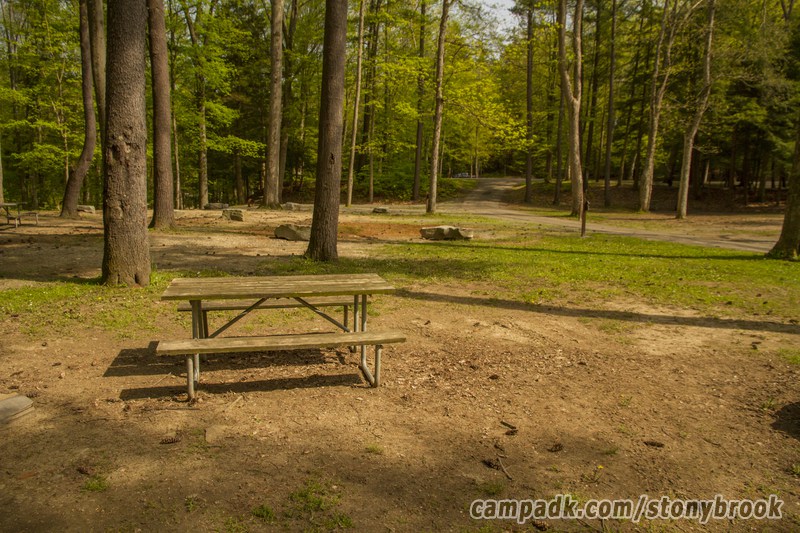 Campsite Photo of Site 309 at Stony Brook State Park, New York - Looking Back Towards Road